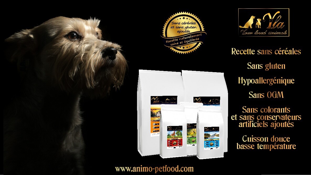 croquette pour chien riche en omega-3 